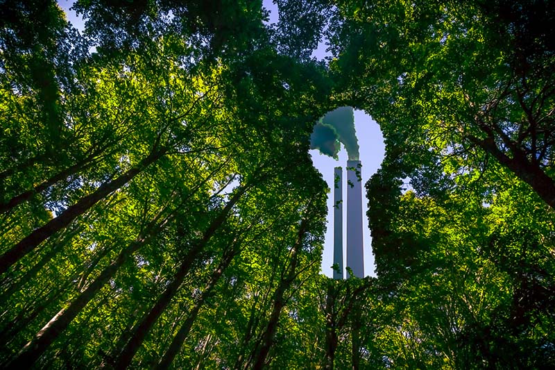 Ciminiera che spunta dagli alberi