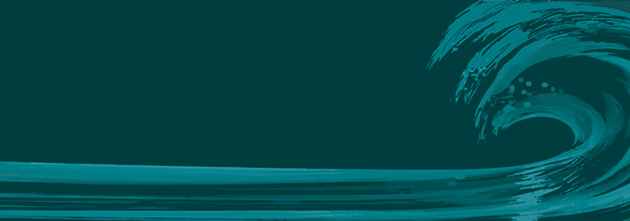 L'illustrazione presenta un'onda sul mare